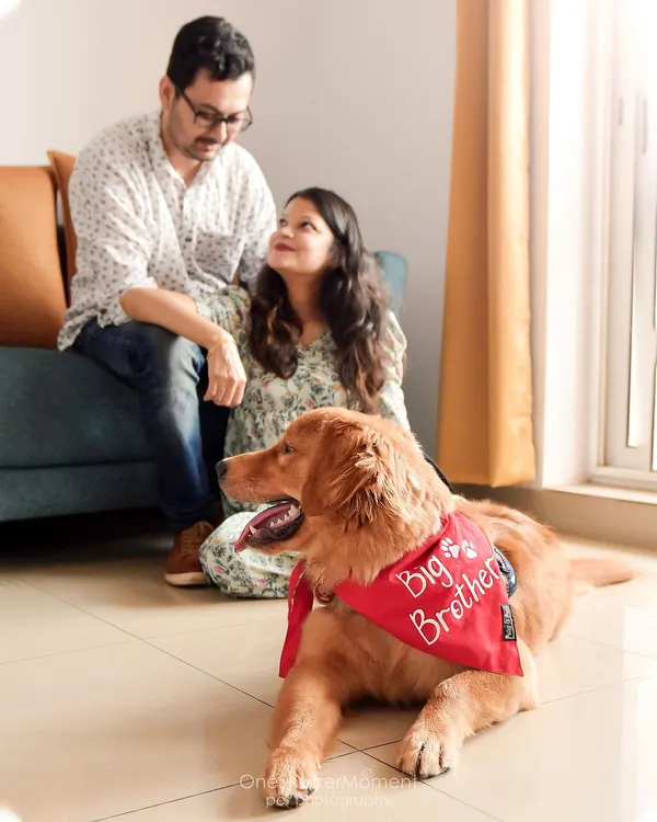 A perfect family moment captured indoors. This couple shares a loving look while their adorable golden retriever, Yobo, relaxes at their feet. These are the cozy, authentic portraits that become cherished memories.