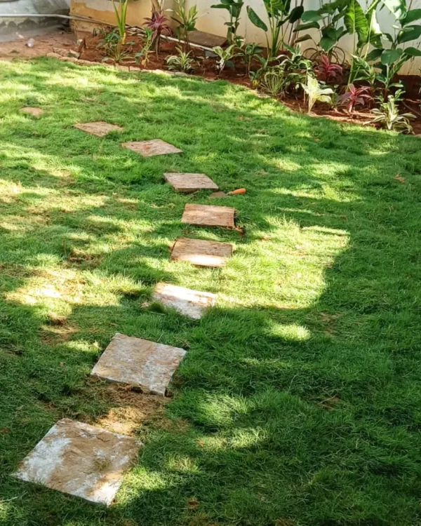 A simple and charming home garden path made with natural stone pavers set into a lush lawn. This design is both practical and beautiful.