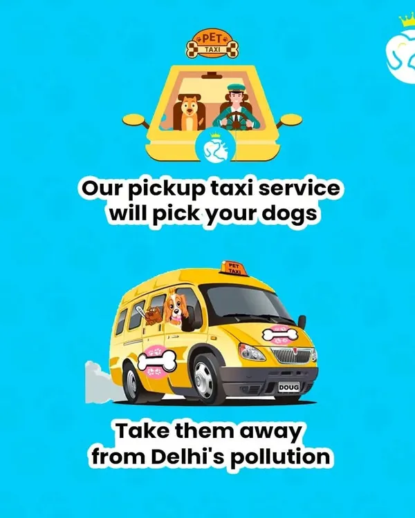 Our pickup taxi service is equipped to handle dogs of all sizes. We'll collect your pet and transport them safely, offering a clean and calm environment away from the stress of Delhi's pollution.