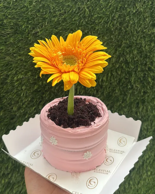 An edible bloom for Mother's Day. Our Flower Pot Cake is a creative and delicious bento-sized treat, with chocolate "soil" and a fresh gerbera daisy.