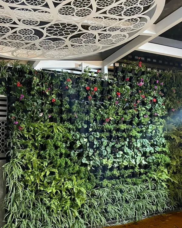 A full view of a large vertical garden we installed. This living wall features a mix of tropical plants and colorful flowers, creating a breathtaking feature that is both art and nature. The intricate ceiling detail adds to the grandeur.