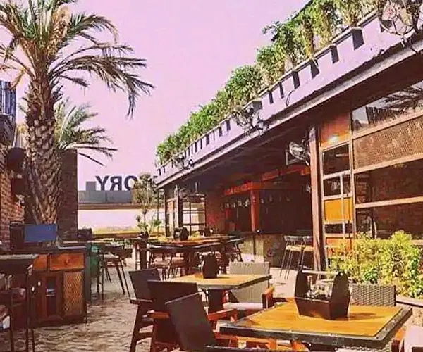 This project at Pub Factory in Gurgaon involved adding greenery to their rooftop and outdoor areas, using large date palms, topiary trees, and wall-mounted planters to create a rustic, green ambiance.
