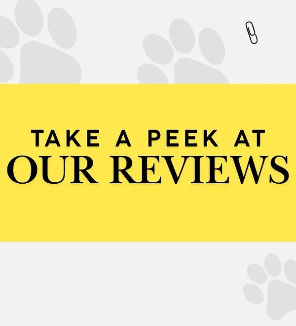 The words from my customers make this journey so wonderful. Take a peek at some of the reviews from pet parents who love the experience at my store.