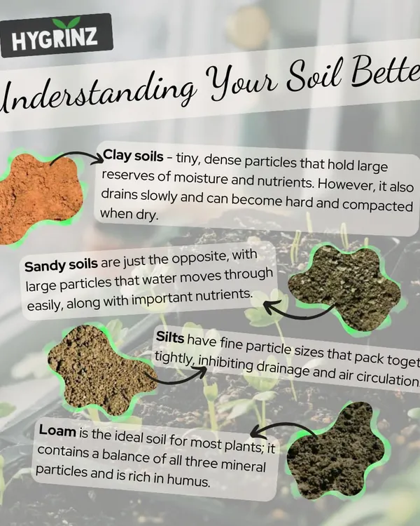 Understanding your soil is the first step to a healthy garden. This guide explains the differences between clay, sandy, silt, and loam soils and how they affect plant growth.