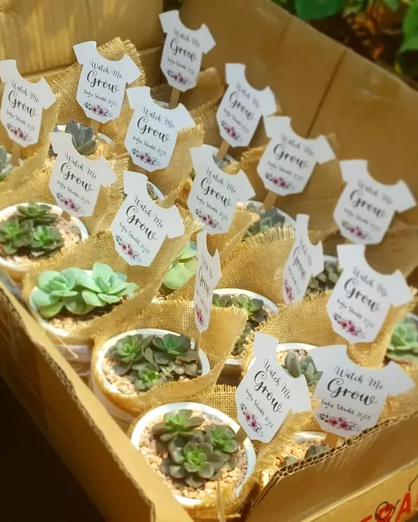 A "Watch Me Grow" themed order of succulent favors ready for a baby shower. Each plant is potted in a white ceramic pot, wrapped in burlap, and includes a personalized tag.