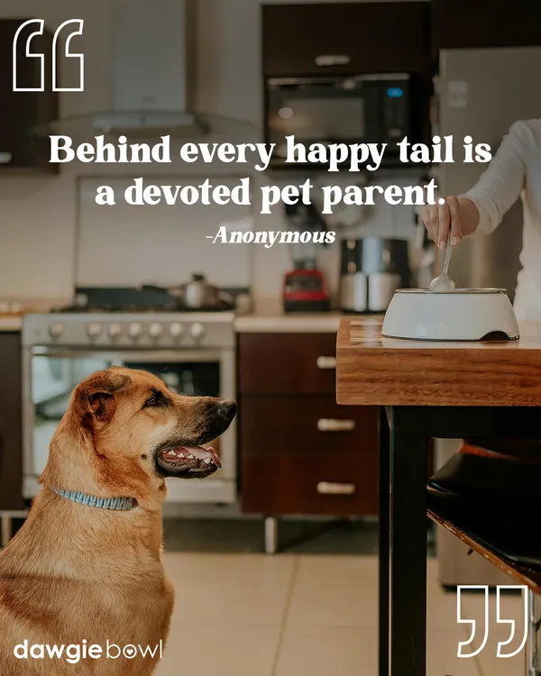"Behind every happy tail is a devoted pet parent." I couldn't agree more. This image of a dog waiting patiently for its meal captures the beautiful trust between a pet and its person.