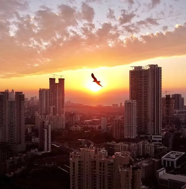 A perfectly timed shot capturing a bird soaring into the sunset over the Mumbai skyline. This image blends natural movement with the urban environment, showcasing a lucky and patient moment behind the lens.