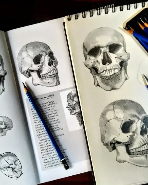 A page from my sketchbook showing various skull studies. Practicing drawing skulls from different angles is essential for understanding the structure of the human head for portraiture.