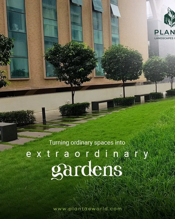This commercial property's landscape was designed to be both beautiful and low maintenance. The clean lines of the lawn, punctuated by uniformly shaped trees and functional benches, create a professional and welcoming atmosphere for a corporate environment.