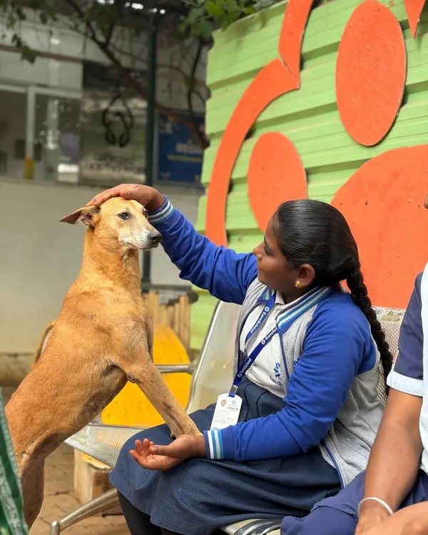 A student from Euro School North shares a gentle moment with one of our resident dogs. School visits are a wonderful way for children to learn about animal welfare and the importance of kindness in action.
