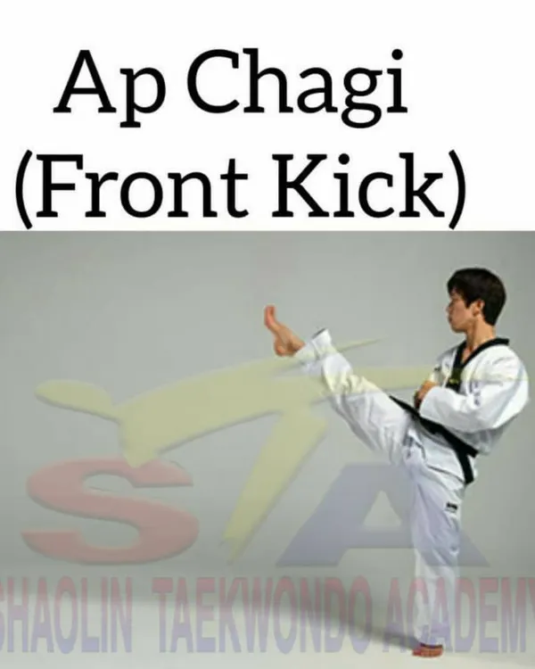 The Ap Chagi, or Front Kick. This is one of the first and most important kicks you will learn, essential for both offense and defense.