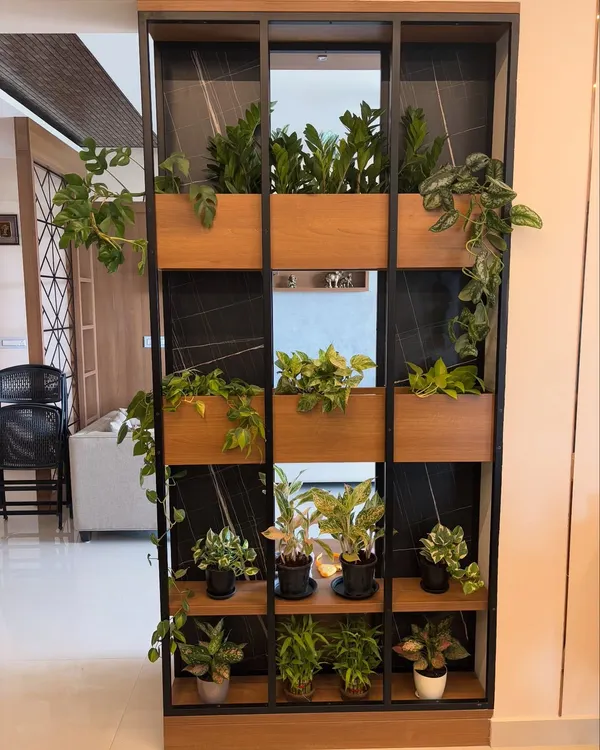This living partition is one of my favorite projects. We used a mix of trailing and upright plants to create a beautiful, green screen that divides the space while still feeling open and airy. It's a functional and stunning way to bring the outdoors in.