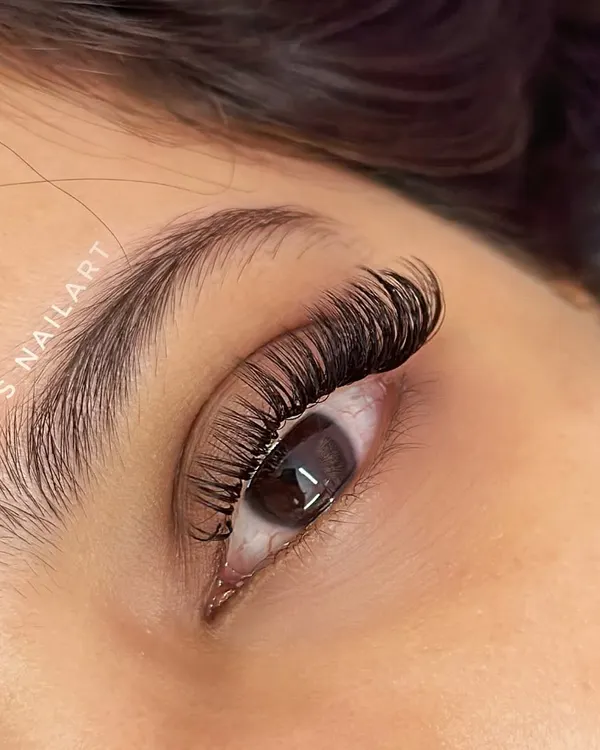 A close-up of my custom Cat Eye lash extensions. This style elongates the eye by using shorter lashes on the inner corner and gradually increasing the length towards the outer corner. It creates a beautiful, winged effect that is both glamorous and sophisticated.