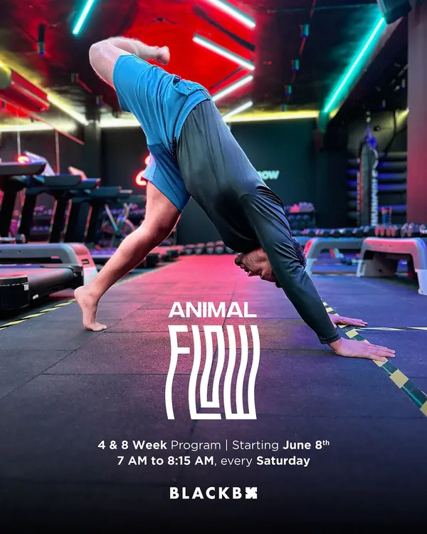 This is our Animal Flow Foundation Course. It's a structured 4 and 8 week program designed to teach you the fundamentals of this dynamic, bodyweight training system.