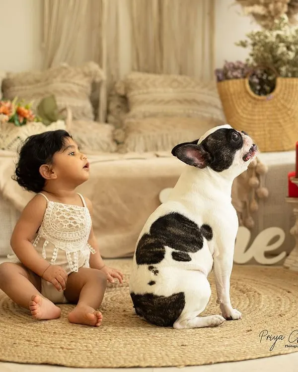 One year full of love, laughter, and furry cuddles! This little girl and her best friend have such a special connection. Including pets in milestone shoots makes the memories even more heartwarming.