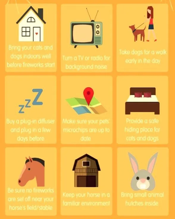 General wellness includes preparing for stressful events. This infographic provides simple, effective tips for keeping your pets safe and calm during fireworks, from creating a safe hiding place to using background noise.