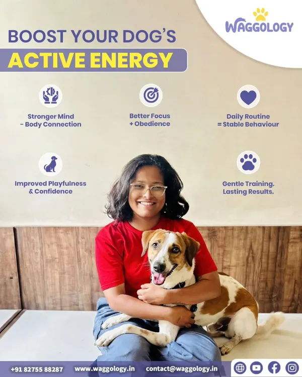 A happy dog and a happy owner. This is the goal of all my work. This photo captures the joy that comes from a balanced, confident dog who has their energy guided in the right way through routine, play, and gentle training.
