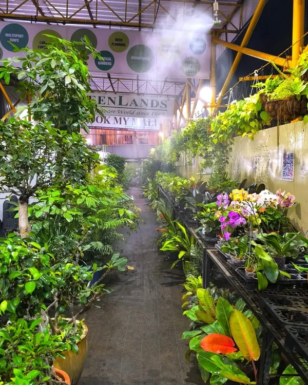 Welcome to our green oasis in the heart of Mumbai. We've created a lush, cool, and misty environment inside the mall, so you can enjoy a serene plant shopping experience away from the city's heat.