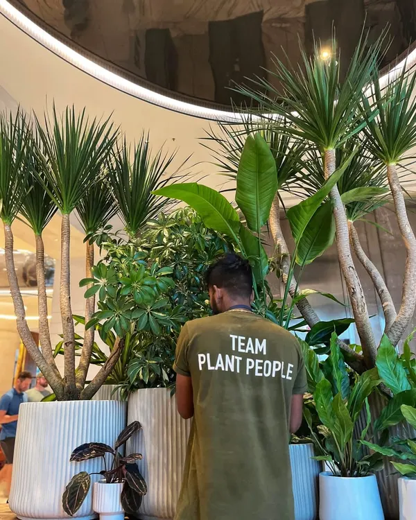 A member of Team Plant People, surrounded by the beautiful arrangements he helps create. We are always grateful for the hard work our team puts in, and we believe that taking care of them is the key to our success.