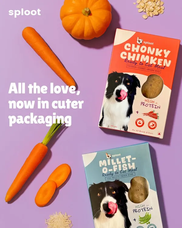 Our meals just got a glow-up with this new packaging. Inside, you'll find the same slow-cooked, ready-to-eat food made with real ingredients like chicken, fish, millets, and veggies. It's all the love, now in a cuter box.