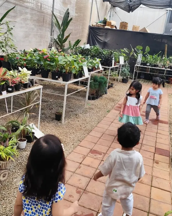 Our playgroup students walk along a path at a local nursery, exploring rows of plants and learning about different types of flora.