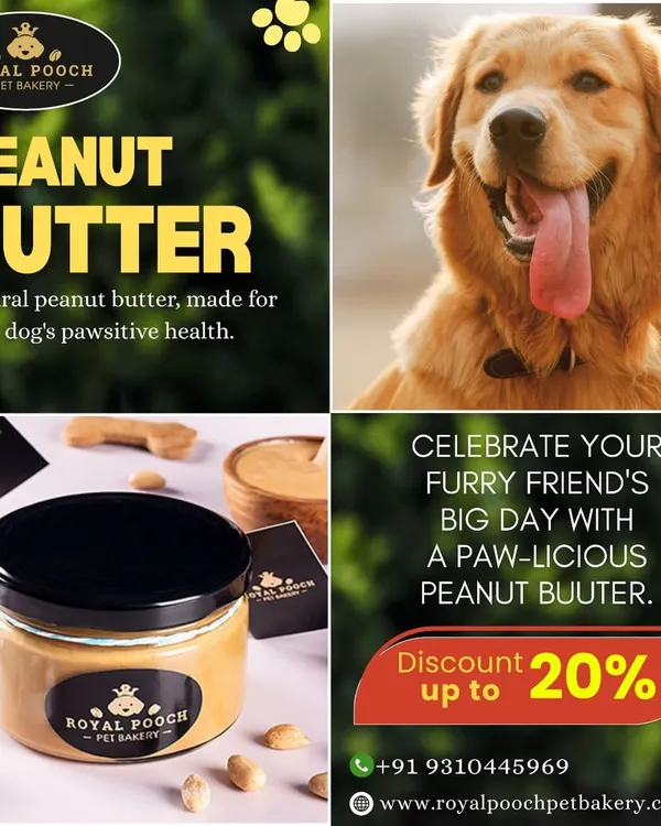 My natural peanut butter is made specifically for your dog's health. It's packed with protein and healthy fats, without any added sugar or xylitol, making it a perfect paw-licious treat for celebrating their big day or just for a daily reward.
