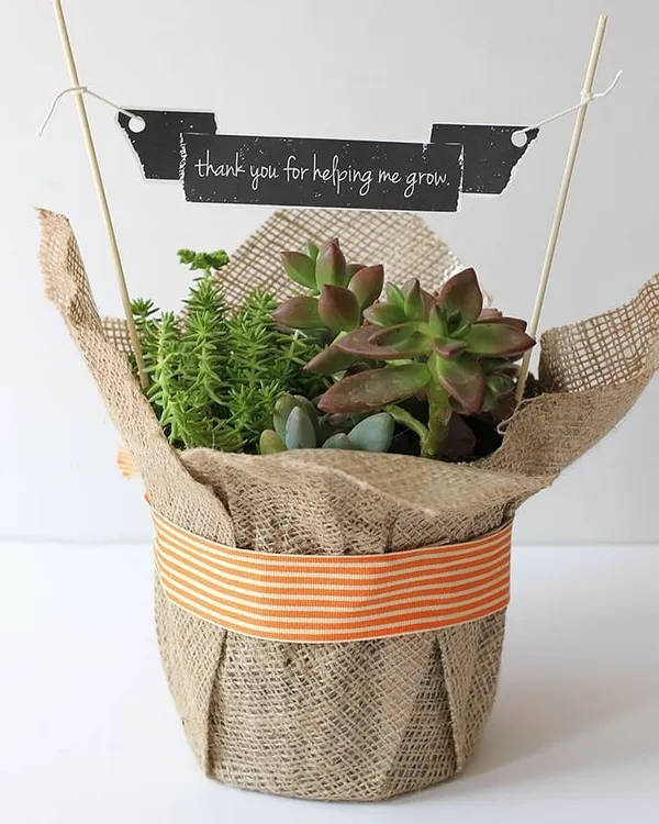 A perfect way to say thank you. This arrangement features a mix of hardy succulents in a rustic jute wrap, complete with a little banner that reads 'thank you for helping me grow'. It's a thoughtful and symbolic corporate or personal gift.
