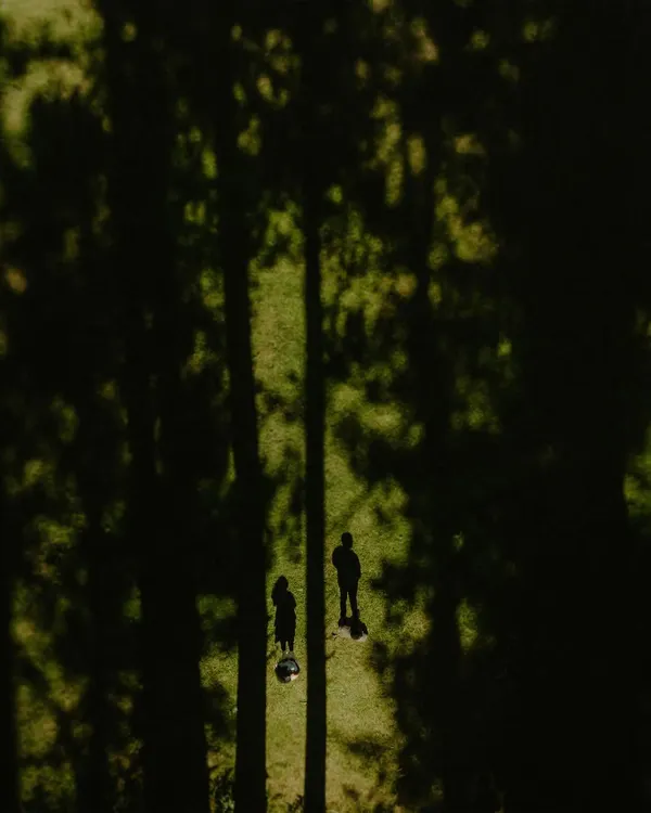 An artistic drone shot showing the tiny silhouettes of a couple standing amidst the giant shadows of pine trees in a forest clearing. This unique perspective captures the scale and magic of a pre-wedding shoot in nature.