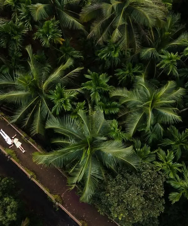 We believe love stories deserve a grand perspective. This aerial drone shot captures a quiet moment of togetherness amidst the sprawling palm groves of Goa, showing how we blend epic landscapes with intimate emotions for your pre-wedding shoot.