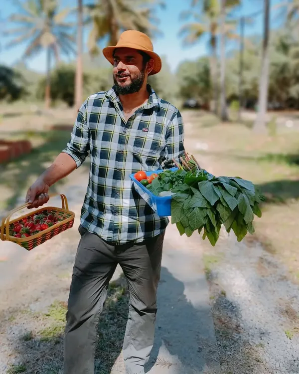 Our farm manager, Hemanth, with a fresh harvest of strawberries, tomatoes, and greens. He ensures a regular supply of produce from our pods to our partners at Farmlore.