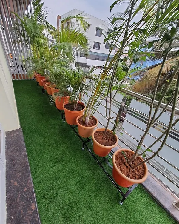 A narrow balcony transformed into a green corridor. Our custom-length stand fits perfectly along the railing, holding a row of plants without blocking the walkway.