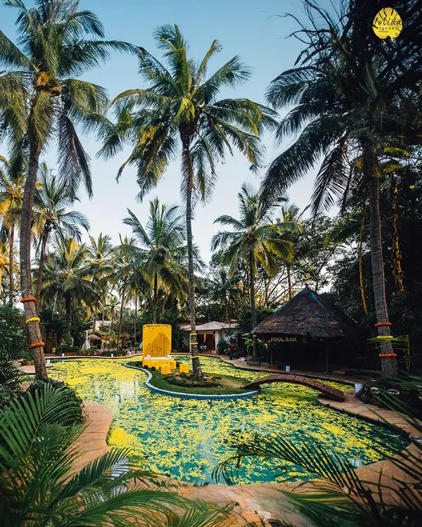 Welcome to your escape. Imagine your special day by our signature pool, surrounded by palm trees and lush greenery, creating a tropical paradise right here in Bangalore.