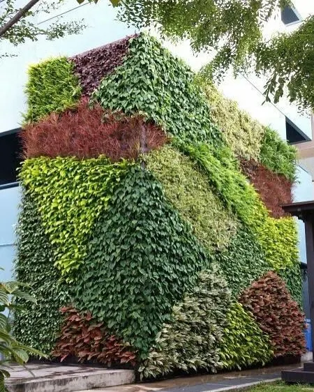 This is the kind of transformation I deliver. I turn large, plain building exteriors into vibrant, living works of art with custom-designed vertical gardens.