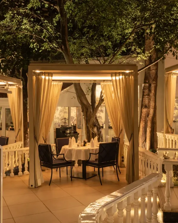Our outdoor cabanas are designed for intimacy and comfort, nestled among trees and soft lighting. It is a truly special place for an alfresco fine dining experience.