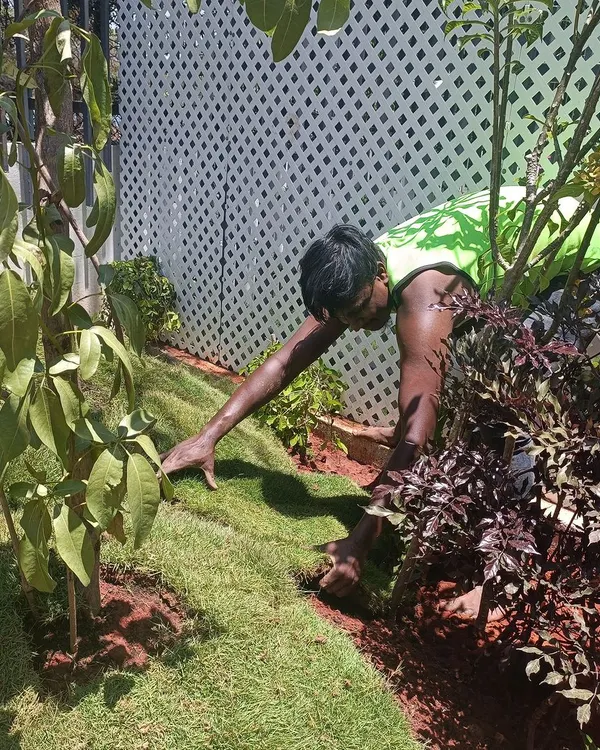 A member of my dedicated team carefully lays fresh sod, ensuring a perfect, seamless lawn. This hands-on work is the foundation of a beautiful and healthy garden.
