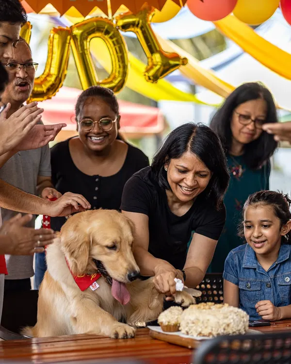 A moment of pure joy as the whole family comes together to celebrate their golden retriever's birthday. We believe these are the memories that last a lifetime.