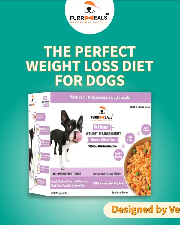 This is the perfect weight loss diet for dogs, designed by vets. It's specially formulated to be low in calories but high in protein and fiber, ensuring your dog loses weight without losing out on essential nutrition or feeling hungry.