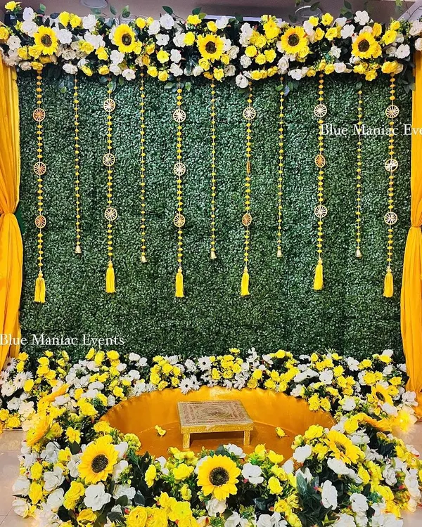 A grand Haldi setup designed to make a statement even in a compact space. This decor features a lush green wall, a canopy of sunflowers and white florals, and a traditional 'urli' seating surrounded by flowers.