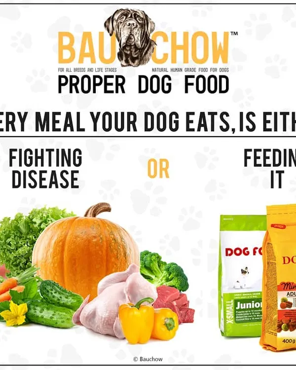Every single meal you feed your dog is a choice. You're either giving them the fuel to fight disease or feeding the problem. I'm here to make sure you're giving them the right fuel, not the processed junk that big corporations push.