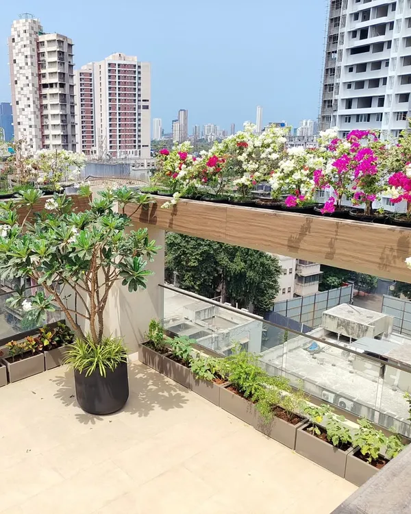 This is the kind of green paradise I can create for you. Imagine relaxing on your own terrace garden, surrounded by beautiful flowers, with a stunning view of the Mumbai skyline. I handle everything from planning to planting.