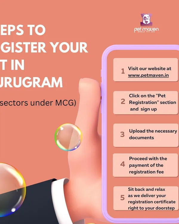 Getting your pet registered in Gurugram is now simpler than ever. This visual guide shows our easy, five-step online process that you can complete right from your phone, saving you time and effort.