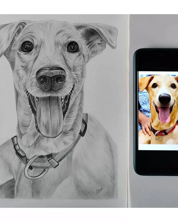 A direct comparison of my finished dog portrait next to the client's reference photo on a phone. This shows how I translate a color photo into a realistic black and white sketch.