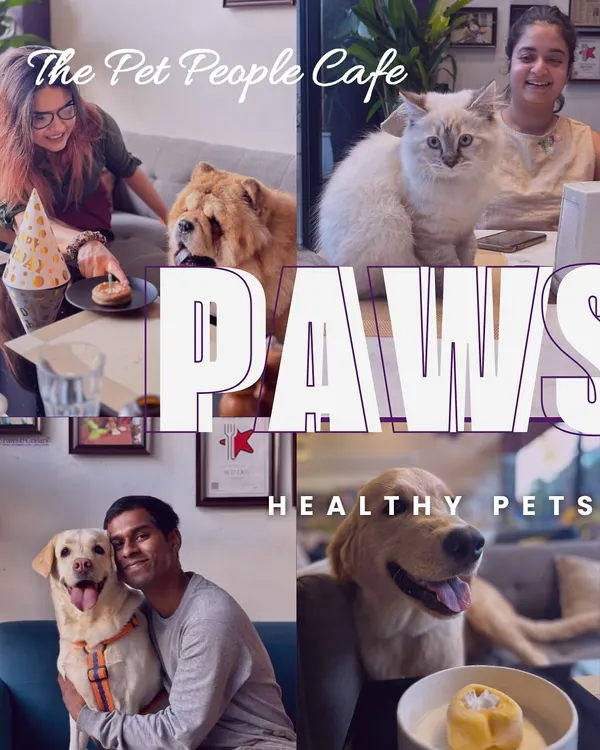 Our café is a community hub where pets and people come together. From a quiet morning coffee to a puppy's first social outing, this is where our belief in whole pet living comes to life.