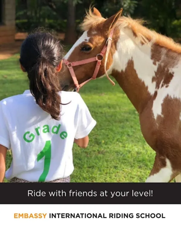 We believe the journey from a Grade 1 student to a confident equestrian starts with a connection. Here, a young camper shares a gentle moment with one of our ponies, building the trust that is the foundation of all great riding.