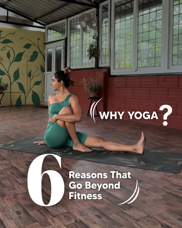 Why practice yoga? This graphic introduces six reasons that go far beyond just fitness, touching on mental, physical, and emotional well-being.