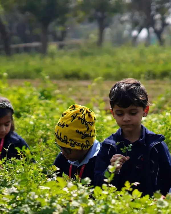 Students from HDFC School exploring our coriander patch. A farm visit is a fantastic opportunity for children to learn where their food and herbs come from.