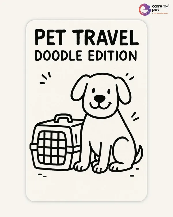 A simple doodle to introduce the world of pet travel. A happy dog next to his IATA-approved crate, ready for an adventure.