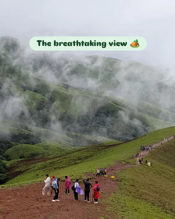 This is the breathtaking view that awaits you on the Netravathi trek. The trail offers a panoramic perspective of the rolling green hills of the Western Ghats, especially vibrant during the monsoon.