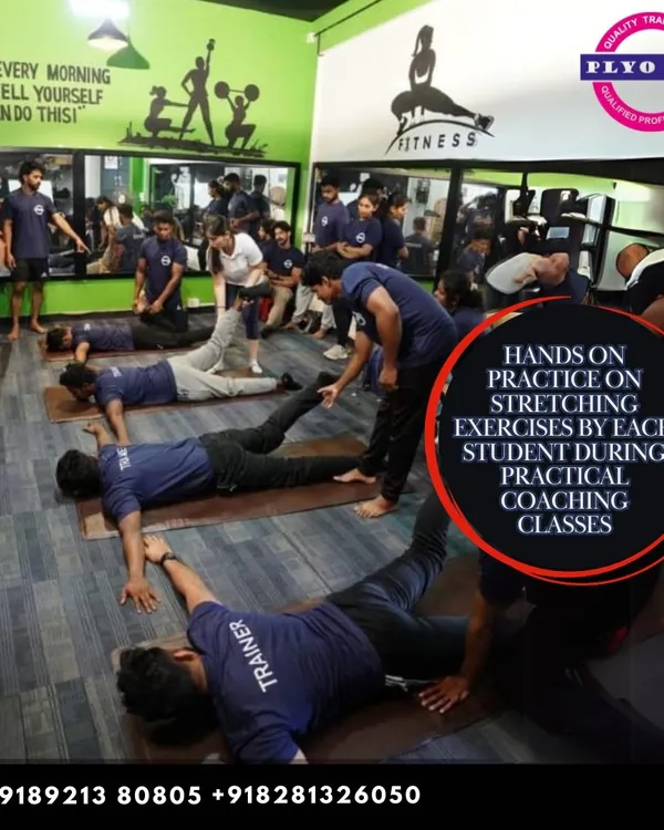 Correct stretching technique is fundamental for injury prevention and recovery. In our practical coaching classes, every student gets hands-on practice, learning how to guide clients through various stretching exercises safely and effectively.