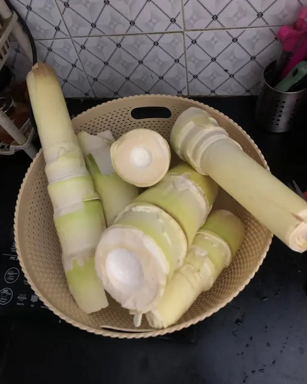 A basket of fresh, tender bamboo shoots. This is one of the most important ingredients in Naga cuisine, and I love using it when it's in season.